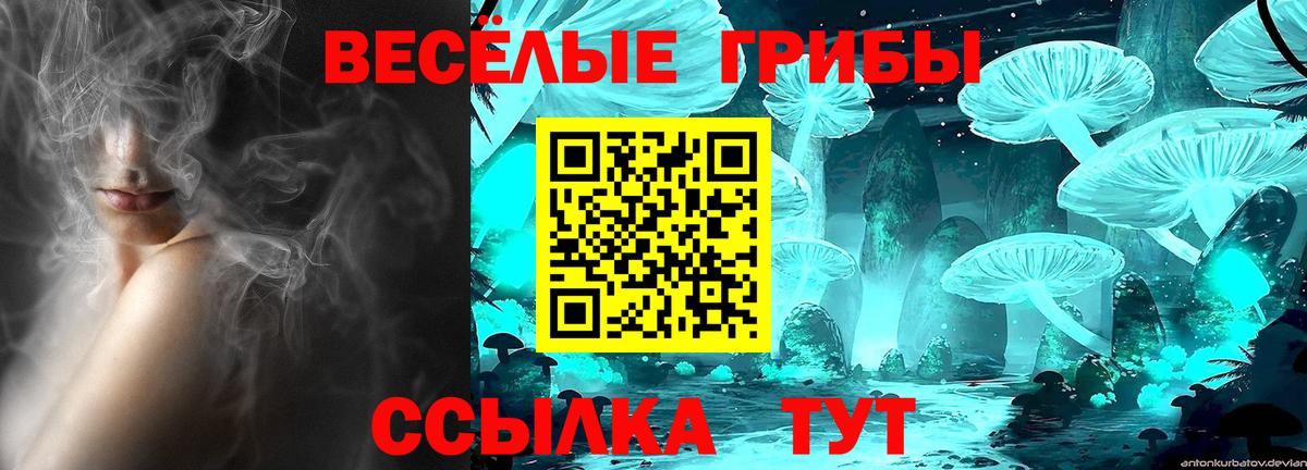 Галлюциногенные грибы Psilocybine cubensis  Вход с VPN  Лыткарино 